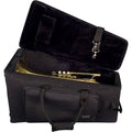 Black Marching Baritone Case C869530