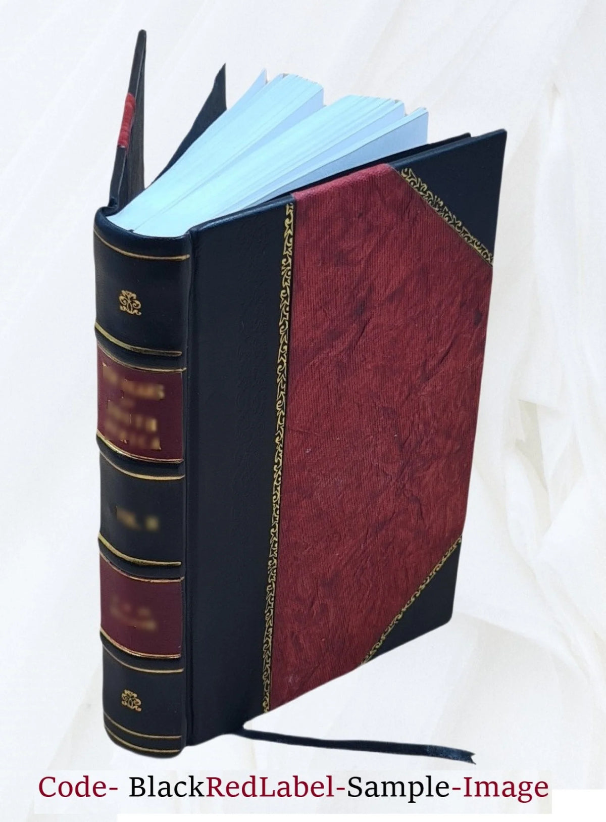 Leather Bound Book O210662