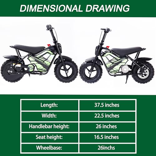 Electric Dirt Bike for Kids 250W 24V 9AH Off-Road Tire Green P2021